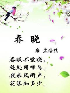 春晓 中三