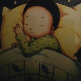 幼专幼儿园扆老师《黑夜小王子》