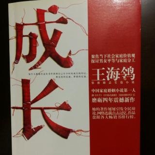 长篇小说：成长25