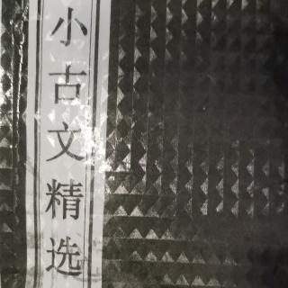 刘秋林第八周冬韵