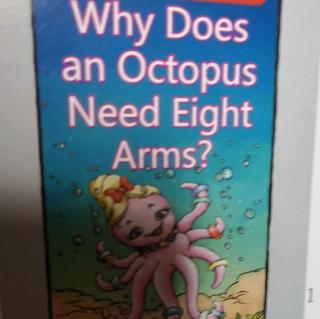 why dose an octopus need eight arm