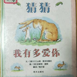 009《猜猜我有多爱你》