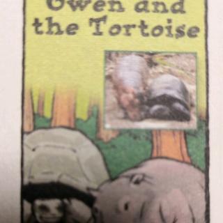 Owen and the Tortoise
