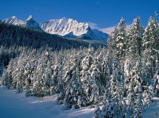 《雪景》