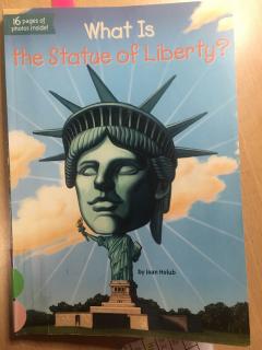 What is the sratue of liberty chapter7--Eric