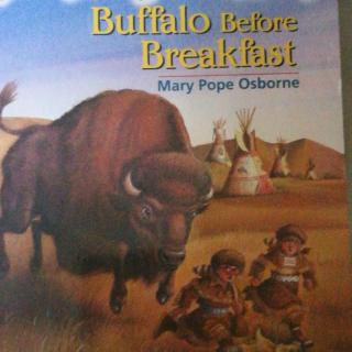 Buffalo Before Breakfast(9)