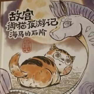 故宫御猫夜游记-海马的石阶