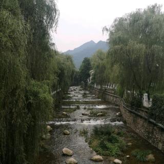 散文|飘雨思怀