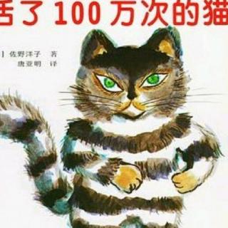 诸城市第二实验幼儿园绘本故事推荐第44期《活了一百万次的猫》