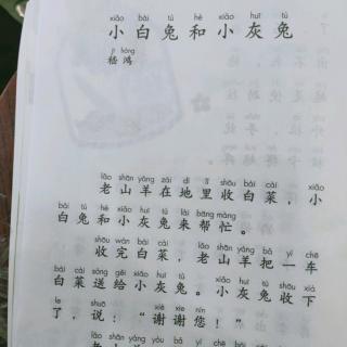 小白兔和小灰兔