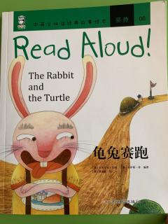 The Rabbit and the Turtle