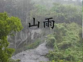 山雨——赵丽宏