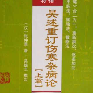 77.《吴述重订伤寒杂病论（上篇）》卷四（9）