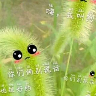 厨师家的猫/芦苇与橡树