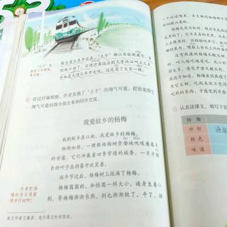 李逸宸读《我爱故乡的杨梅》