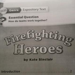 Firefighting heroes  Summer