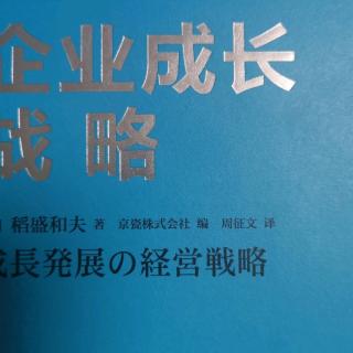 企业成长战略/12-22