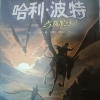 十八岁，成立自己的公司。