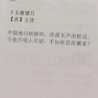 十五夜望月唐王建