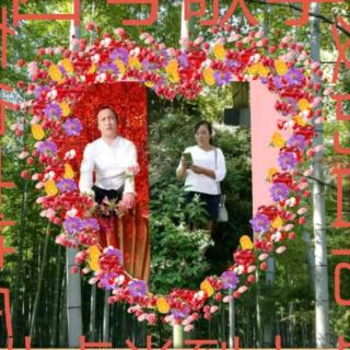 南盘江六合山歌比赛群十一月九号四号歌手有你才快乐对爱的回忆