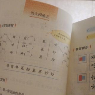 30号刘昊源     阅读第五单元     11.9