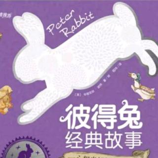 中三班王潇苒11月阅读10…一只霸道的坏兔子