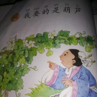 课文我要的是葫芦