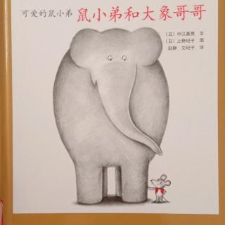 鼠小弟和大象哥哥