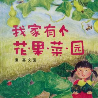 《我家有个花果菜园》第一天