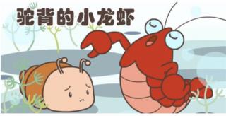 驼背小龙虾-潘歆烁