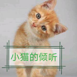 [天一讲故事]小猫的倾听