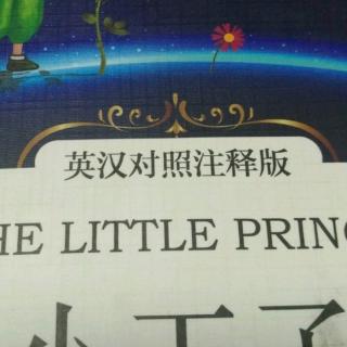 THE  LITTLE     PRINCE