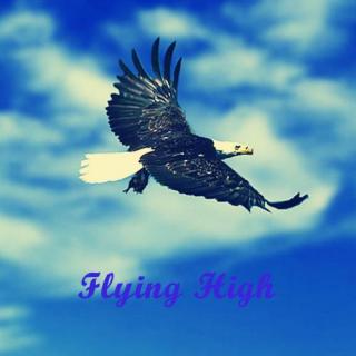 ☆北极星ゞ 班得瑞典藏6.心灵音乐 《日光海岸》10.Flying High