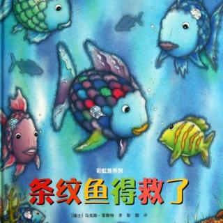 幼专金海湾幼儿园李老师——《条纹鱼得救了》