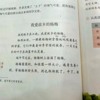 李逸宸读《我爱故乡的杨梅》