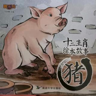 十二生肖绘本故事#猪