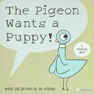 【凯西双语版】The Pigeon Wants a Puppy 鸽子想要养小狗