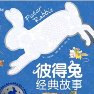 中三班王潇苒11月阅读11…小猫🐱毛毛的故事