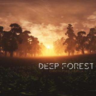 [放松吉他曲] Christopher Varela - Deep Forest