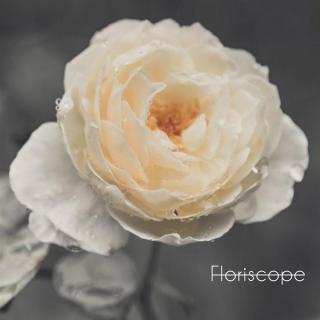 [睡眠音乐] - Floriscope - Floriscope