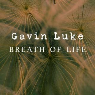 [睡眠音乐] Gavin Luke - Gone