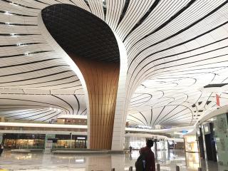 第二部分 第六章 拖延时钟:你知道现在几点吗