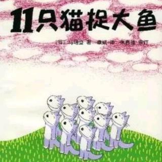 11只猫捉大鱼