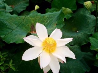 父母课堂91期:没有安全感的父母,如何给孩子安