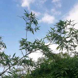 没有最优秀，只有更优秀