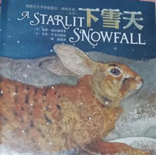 下雪天