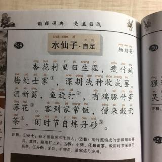 249水仙子自足杨朝英