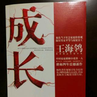 长篇小说：成长36