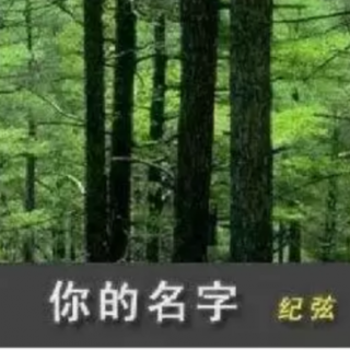 《你的名字》纪弦