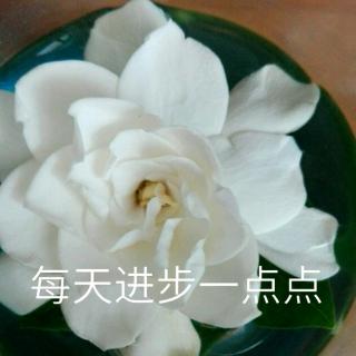 20190709   中午在鰂鱼涌（节选）